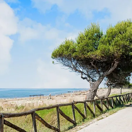 Cozy Flat In A Quiet Area Of