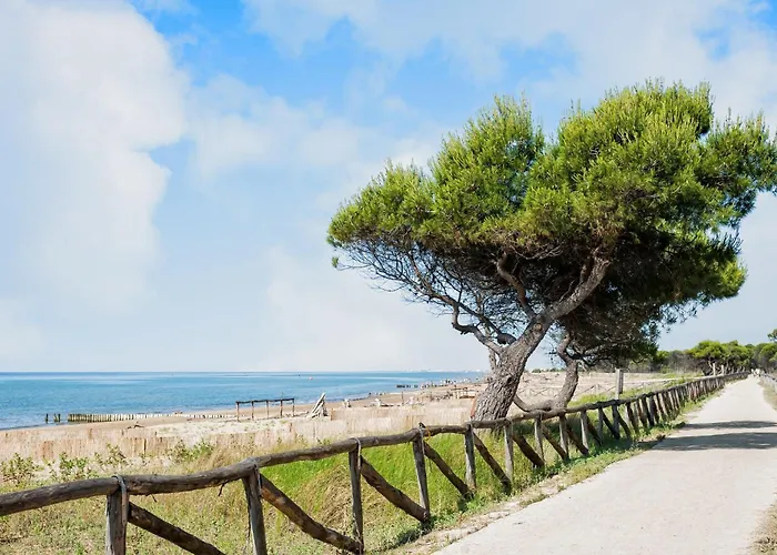 Cozy Flat In A Quiet Area Of